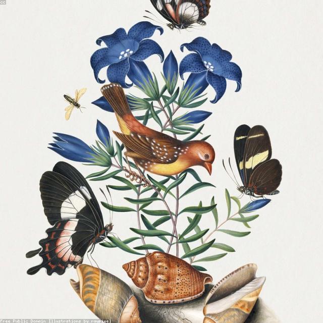 Vintage Floral Illustration
